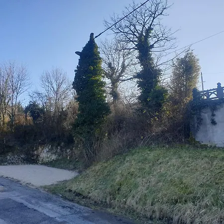 Au Pied De La Foret ! * Oyonnax