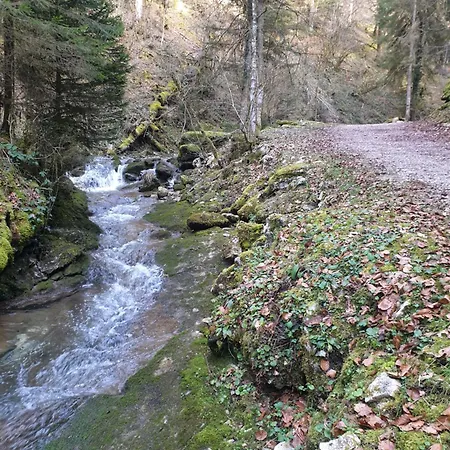 Au Pied De La Foret ! Oyonnax