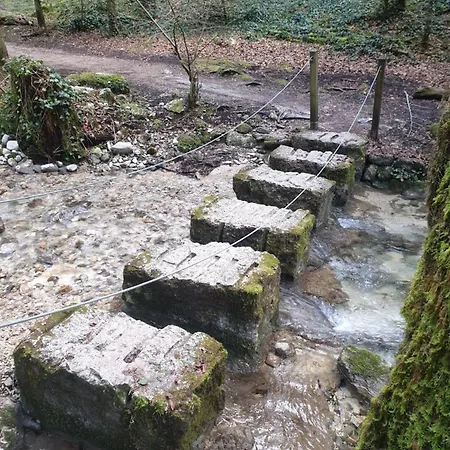 Vendégház Au Pied De La Foret ! *