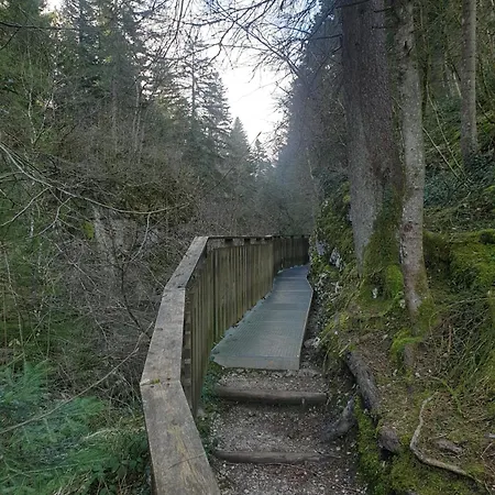 Guest house Au Pied De La Foret ! Oyonnax
