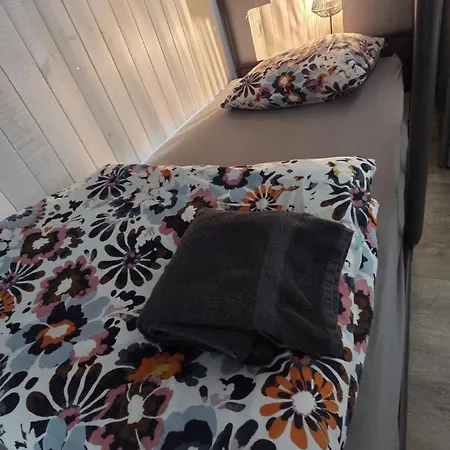 Au Pied De La Foret ! Guest house 3*